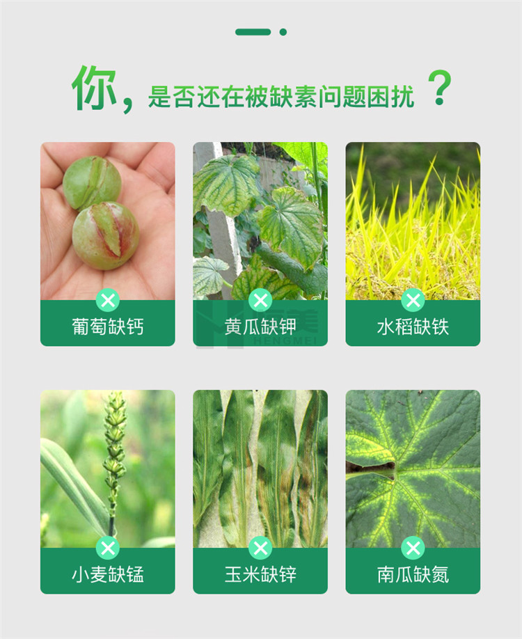 高智能土壤養分檢測儀怎么選？